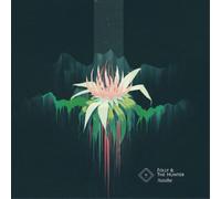 Folly & the Hunter Awake (Vinyl LP) 12" Album