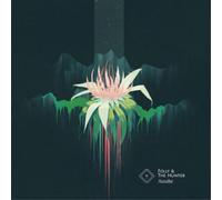 Folly & the Hunter Awake (Vinyl LP) 12" Album
