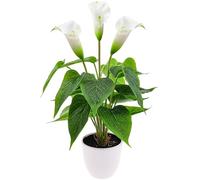 Folmywy Piante da fiore artificiali calla giglio 40,6 cm finto giglio della pace in vaso pianta di seta bianca finto bonsai per interni verde realistico centrotavola per ufficio esterno decorazione