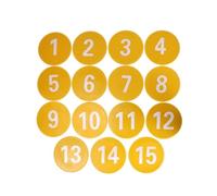 Folpus 15 Pezzi Dischi Allenamento Bambini Marker Pavimento Piatto in PVC Resistente per Sequenze di Passi E Confini Adatti a Esercizi Coordinazione Educazione Fisica Scuola Palestra, Giallo