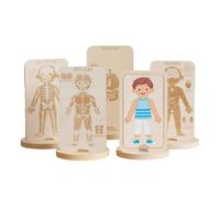 Folpus Puzzle Legno Corpo Umano per Bambini con Sezioni Dettagliate di Scheletro E Organi per Apprendimento Delle Funzioni Corporee Adatto per Coordinazione Mano Occhio E Motricità Fine, Ragazzo