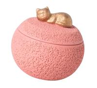 Folpus Urna commemorativa, contenitore commemorativo, barattolo di stoccaggio, contenitore da 350 ml, urna per cremazione, Rosa