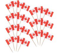 FOMIYES 200 Pezzi Bandierine Stuzzicadenti per Cupcake in Legno 65mm, Decorazioni per Feste e Torte, Accessori per Eventi e Compleanni, Bandiere Nazionali Delicate per Decorazione