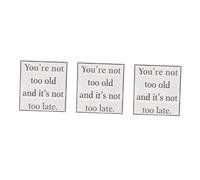 FOMIYES 3 Pezzi Spilla Metallo Motivazionale con Citazione Ispiratrice You Re Not Too Old And It's Not Design Minimalista Accessorio e Resistente per Regali e Party Favor