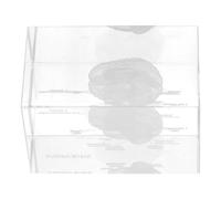 FOMIYES Anatomico in Cristallo 3D del Cervello Umano Rappresentazione Realistica, Supporto Didattico per Studenti di Medicina e Contesto Scientifico