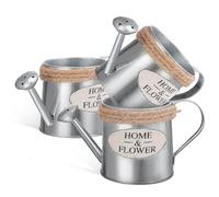 FOMIYES Annaffiatoio Decorativo in Ferro Vintage 3 Pezzi, Vaso Rustico per Fiori Secchi e Freschi, Decorazione da Tavola Compatta per Interni e Giardino, Accessorio per Arredamento