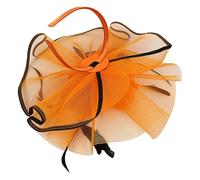 FOMIYES Fascinator Per Le Donne Piume e Rete, Cerchietto Copricapo Da Festa Del Tè Leggero e Durevole, Fascia Per Chioma Da Donna Per Matrimoni, Ricevimenti e Eventi Formali