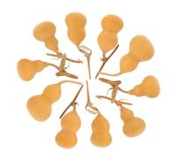 FOMIYES Miniature di Zucca 10 Pezzi 4-6 CM Decorazioni Naturali per Centri Commerciali e Ambienti Interni Stile Casuale