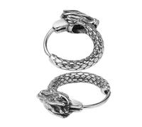 FOMIYES Orecchini Dragon Hoops in Placcato Design Retrò Minimalista ed Accessori Hip Hop Resistente e per