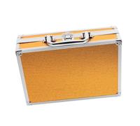 FOMIYES Portatile Custodia per Kit Auricolare Alluminio Antiurto Organizer per Strumenti Auricolari e Manicure Valigetta Resistente con Stoccaggio per Viaggi e