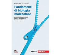 FONDAMENTI DI BIOLOGIA MOLECOLARE - ALLISON LIZABETH A., TAVERNA DANIELA