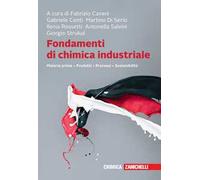 Fondamenti di chimica industriale. Materie prime, prodotti, processi, sostenibilità. Con e-book. Con espansione online
