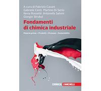 Fondamenti di chimica industriale. Materie prime, prodotti, processi, sostenibilità. Con e-book. Con espansione online