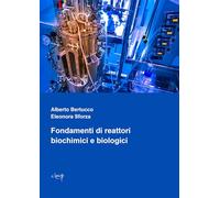 Fondamenti di reattori biochimici e biologici