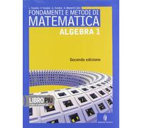 Fondamenti e metodi di matematica. Algebra. Per le Scuole superiori. Con espansione online (Vol. 1)