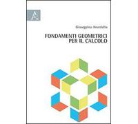 Fondamenti geometrici per il calcolo