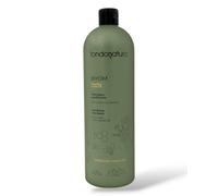 Fondonatura Byom Purity Shampoo Purificante Antiforfora 1000 ml - Shampoo Professionale con Piroctone Olamina, Fermentato d’Avena e Lactobacillus per Cute Impura e Forfora Persistente