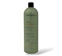 Fondonatura BYOM Sebum Control Shampoo 1000ml - Shampoo Capelli Grassi Sebo Equilibrante con Argilla Rossa e Attivi Marini - SLES/SLS Free, Purificante e Lenitivo Cute Sensibile
