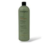 Fondonatura BYOM Sebum Control Shampoo Sebo Equilibrante da litro spedizione gra