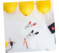 FONDOTIN 100 pezzi Morsetti Batteria Isolati in Zincato Clip Coccodrillo Resistenti per Test Elettrici Nero e Rosso Connessione Sicura e Presa Potenziata per Fili e Circuiti