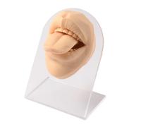 FonFou 1PC Modello di Orecchio in Silicone Pratica del Tatuaggio Parte Corpo Display Viso Labbra Denti Lingua Piercing Gioielli con Supporto in Acrilico