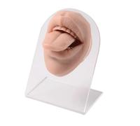 FonFou 1PC Modello di Orecchio in Silicone Pratica del Tatuaggio Parte Corpo Display Viso Labbra Denti Lingua Piercing Gioielli con Supporto in Acrilico