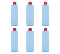 Fonowx 6 Pezzi Blocchi di Ghiaccio Rettangolari Riutilizzabili Piccoli Leggeri Resistenti Che Mantengono a Lungo Adatti a Camping Pranzi Spiaggia, 4x4x13 Cm