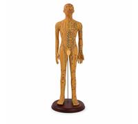 Fonowx Modello Uomo Manichino Agopressione Modello Meridiani Figura Didattica PVC Rigido con Dettagli Accurati dei Meridiani E Punti Base Tonda, 62 Cm, style to 1