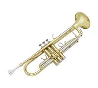 Fonowx Tromba in Sib Tromba in Ottone Strumento a Fiato Bocchino con Custodia Strumento Compatto E Trasportabile con Corpo in Ottone Laccato Adatta per Studenti Principianti Concerto Prove