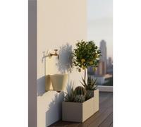 Fontana da Parete Giardino con Rubinetto e Secchio Removibile Dimensioni 23x25xh 50cm - peso 6,7kg con tubo rubinetto, Garantita contro la ruggine Colore Avorio avorio