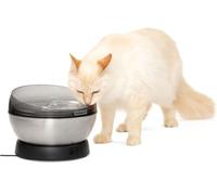 Fontana HydroSphere in Acciaio per Gatti e Cani Piccoli PetSafe 1PZ