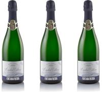 Fontanafredda Alta Langa DOCG Brut Limited Edition 2021 - Spumante Metodo Classico - Pinot Nero e Chardonnay con affinamento di oltre 30 mesi - 12,5% vol. 0,75l - 3 bottiglie