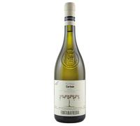 Fontanafredda Cortem Gavi DOCG del Comune di Gavi 2024 0,75 ℓ
