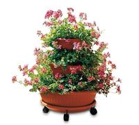 FONTANELLA 3 POSTI SIMILCOTTO D.55 X H.60 CONFEZIONE COMPLETA 3 CONCHE+1 PIATTO