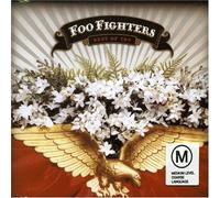 Foo Fighters - Best of You 2