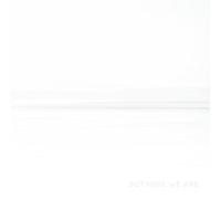 Foo Fighters - But Here We Are by the band Foo Fighters [CD]