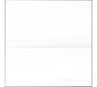 Vinile Foo Fighters - But Here We Are (Printed Inner Sleeve With Folder)