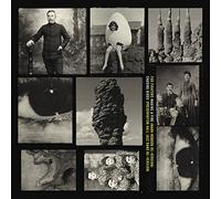 Foo Fighters - making a fire / chasing birds (rsd 2022)
