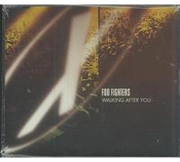 Foo Fighters Walking After You (CD)