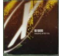 Foo Fighters Walking After You (CD)