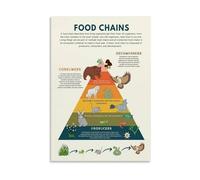 Food Chain And Food Web Ecosystem Educational Science Chart Canvas Wall Art Print Poster for Classroom Home Office Living Room Bedroom Decor(Unframed,16X24inch(40X60cm))