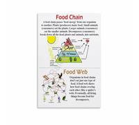 Food Chain Food Web Ecosystem Chart Science Education Poster Print Wall-Art Decor for Classroom Home Bedroom Living Room
