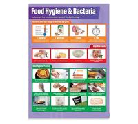 Food Hygiene & Bacteria Classroom Poster Design and Technology Middle & High School Class Decor poster(Unframed,08X12inch(20X30cm))