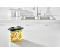 FoodSaver Vacuum container FFC023X Preserve & Marinate Vacuum container 1.8L