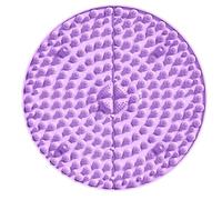 Foot Pressure Point Mat, Foot Massage Mat, Pressure Point Massage Pad