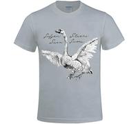 FOPJRUISDAEL Sufjan Stevens Seven Swans Printed T Shirts for Men Crew Neck Grey M