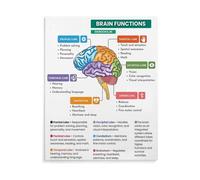 FOPURE Brain Anatomy Poster Lobes and Functions Chart Educational Wall-Art Canvas Print for Psychology Class Office(Framed,12X18inch(30X45cm))