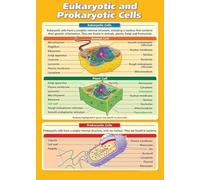 FOPURE Educational Science Poster Cell Biology Chart Comparing Eukaryotic and Prokaryotic Cells for Classroom Homeschool or Laboratory Wall Decor(Framed,12x18inch(30x45cm))