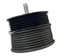 For AMG M113k CLS55 SL55 S55 G55 Compressore Doppia Puleggia Cinghia di Trasmissione Puleggia Tenditore Regolatore Asta Tendicatena di Distribuzione 1132020419 1Set Nero