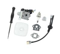 For carburatore adatto for PB250LN ed ES250 completo di tubo e candela progettato for soffiatore for foglie